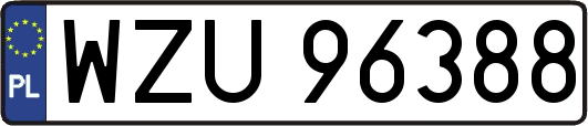 WZU96388