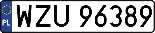 WZU96389