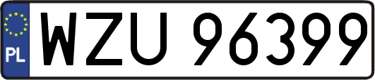 WZU96399