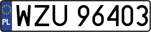 WZU96403