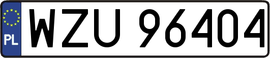 WZU96404