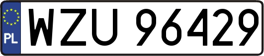 WZU96429