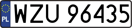 WZU96435
