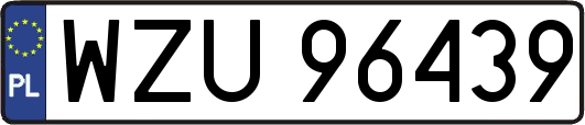 WZU96439