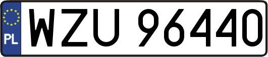 WZU96440