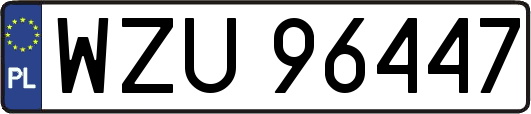 WZU96447