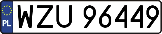 WZU96449