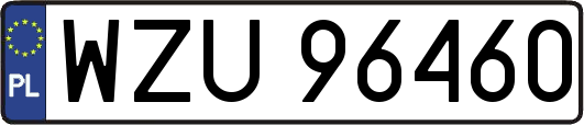 WZU96460