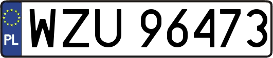 WZU96473