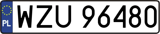 WZU96480