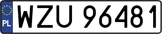 WZU96481