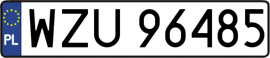WZU96485