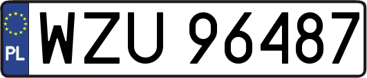 WZU96487