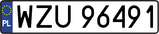 WZU96491