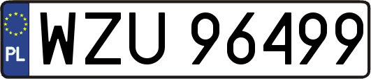 WZU96499