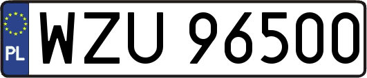 WZU96500