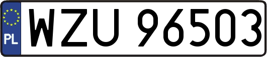 WZU96503