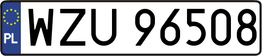 WZU96508