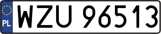 WZU96513