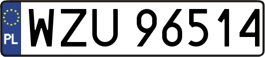 WZU96514