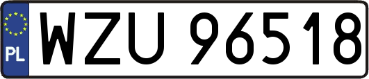 WZU96518
