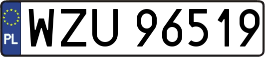 WZU96519