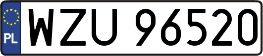 WZU96520