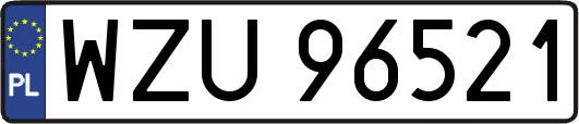 WZU96521