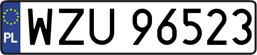 WZU96523