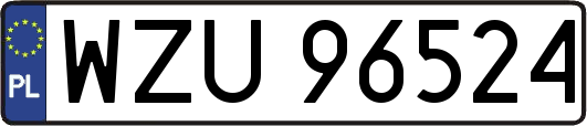 WZU96524