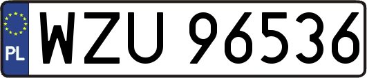 WZU96536