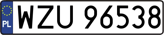 WZU96538