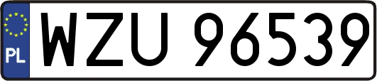 WZU96539