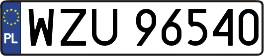 WZU96540