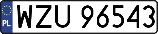 WZU96543