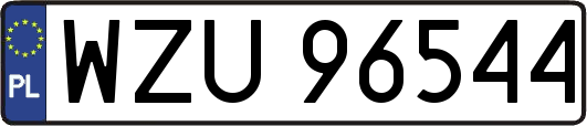 WZU96544