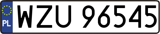 WZU96545