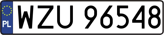WZU96548