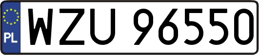 WZU96550