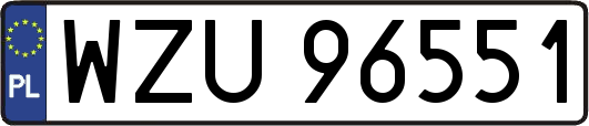 WZU96551