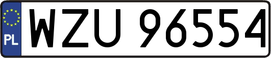 WZU96554