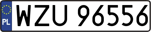 WZU96556
