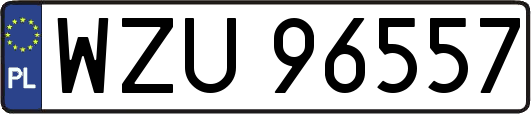 WZU96557