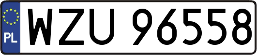 WZU96558