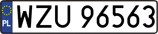 WZU96563