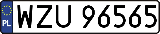 WZU96565
