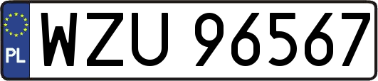 WZU96567