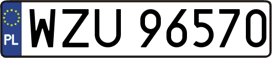 WZU96570