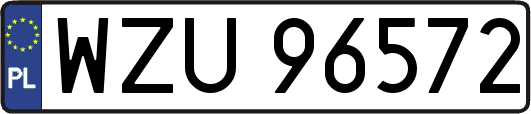 WZU96572