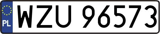 WZU96573